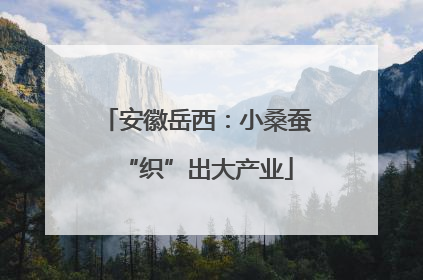安徽岳西：小桑蚕“织”出大产业