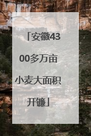 安徽4300多万亩小麦大面积开镰