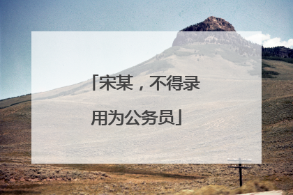 宋某，不得录用为公务员