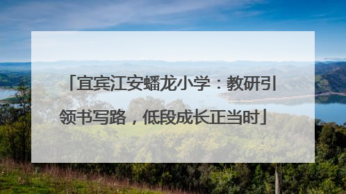 宜宾江安蟠龙小学：教研引领书写路，低段成长正当时