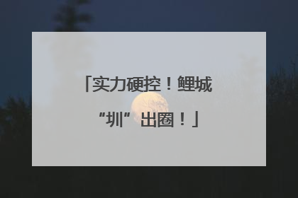 实力硬控！鲤城“圳”出圈！