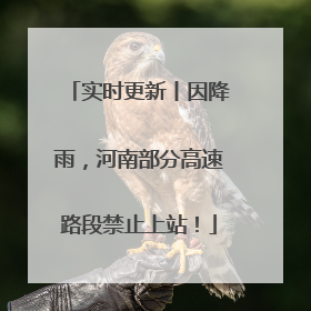 实时更新丨因降雨，河南部分高速路段禁止上站！