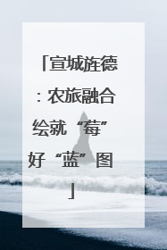 宣城旌德：农旅融合绘就“莓”好“蓝”图