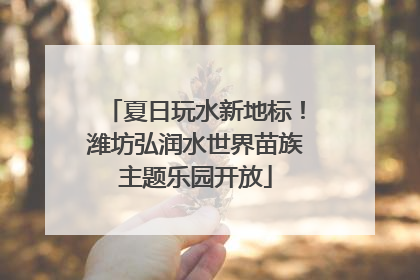 夏日玩水新地标！潍坊弘润水世界苗族主题乐园开放
