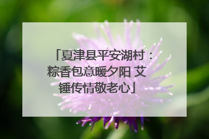 夏津县平安湖村：粽香包意暖夕阳 艾锤传情敬老心