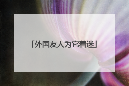 外国友人为它着迷