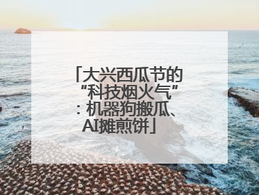 大兴西瓜节的“科技烟火气”：机器狗搬瓜、AI摊煎饼