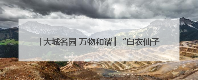 大城名园 万物和谐│“白衣仙子”盛放引围观，花期仅剩半个月