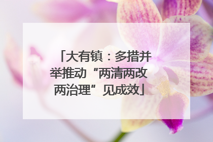 大有镇：多措并举推动“两清两改两治理”见成效