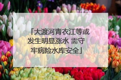 大渡河青衣江等或发生明显涨水 需守牢病险水库安全