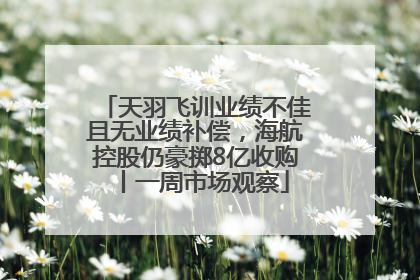 天羽飞训业绩不佳且无业绩补偿，海航控股仍豪掷8亿收购丨一周市场观察