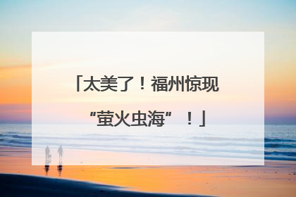太美了！福州惊现“萤火虫海”！