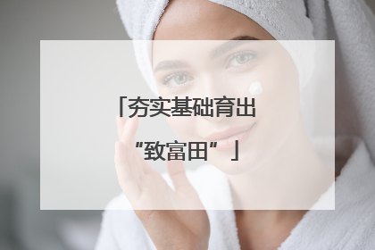 夯实基础育出“致富田”