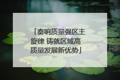 奏响质量强区主旋律 铸就区域高质量发展新优势