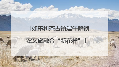 如东栟茶古镇端午解锁农文旅融合“新花样”