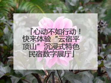 心动不如行动！快来体验“云宿平顶山”沉浸式特色民宿数字展厅