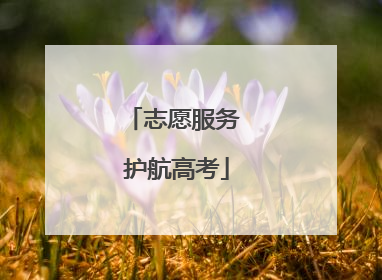 志愿服务 护航高考