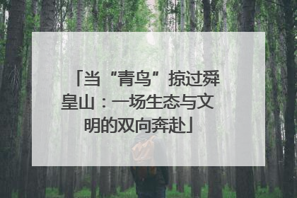 当“青鸟”掠过舜皇山：一场生态与文明的双向奔赴