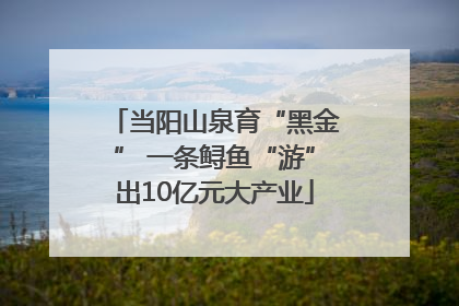 当阳山泉育“黑金” 一条鲟鱼“游”出10亿元大产业