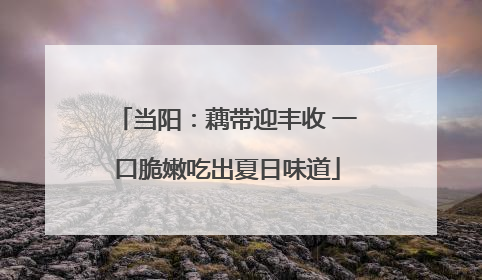 当阳：藕带迎丰收 一口脆嫩吃出夏日味道