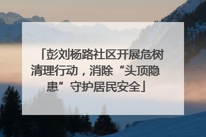 彭刘杨路社区开展危树清理行动，消除“头顶隐患”守护居民安全