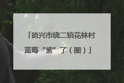 德兴市绕二镇花林村蓝莓“紫”了（图）
