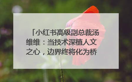 小红书高级副总裁汤维维：当技术深植人文之心，边界终将化为桥梁｜聚焦2025文化强国建设高峰论坛