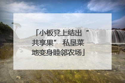 小板凳上结出“共享果” 私垦菜地变身睦邻农场