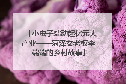 小虫子蠕动起亿元大产业——菏泽女老板李端端的乡村故事