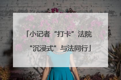 小记者“打卡”法院 “沉浸式”与法同行