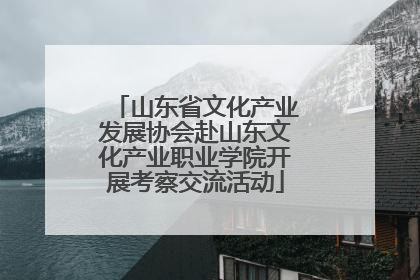 山东省文化产业发展协会赴山东文化产业职业学院开展考察交流活动