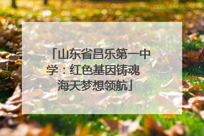 山东省昌乐第一中学：红色基因铸魂 海天梦想领航