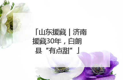 山东援藏｜济南援藏30年，白朗县“有点甜”