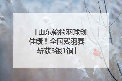 山东轮椅羽球创佳绩！全国残羽赛斩获3银1铜