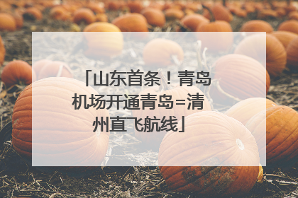 山东首条！青岛机场开通青岛=清州直飞航线