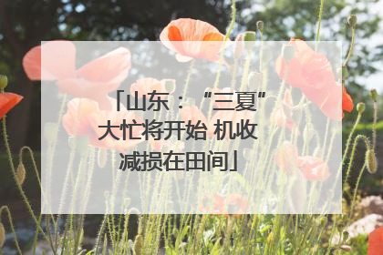 山东：“三夏”大忙将开始 机收减损在田间
