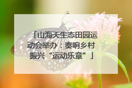 山海天生态田园运动会举办：奏响乡村振兴“运动乐章”