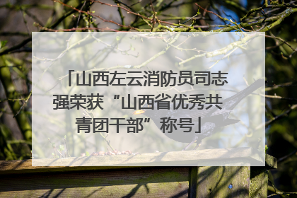 山西左云消防员司志强荣获“山西省优秀共青团干部”称号