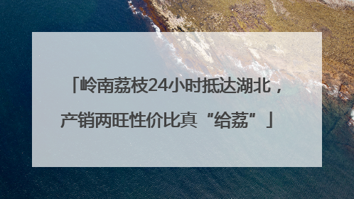 岭南荔枝24小时抵达湖北，产销两旺性价比真“给荔”