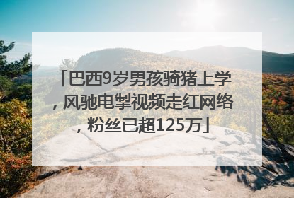 巴西9岁男孩骑猪上学，风驰电掣视频走红网络，粉丝已超125万