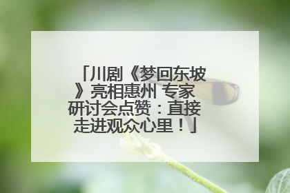 川剧《梦回东坡》亮相惠州 专家研讨会点赞：直接走进观众心里！