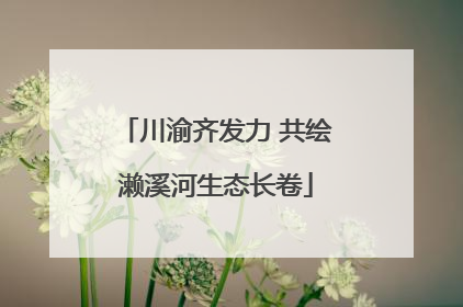 川渝齐发力 共绘濑溪河生态长卷