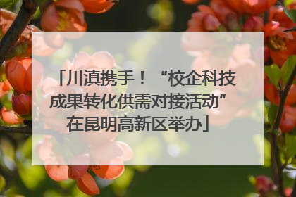 川滇携手！“校企科技成果转化供需对接活动”在昆明高新区举办