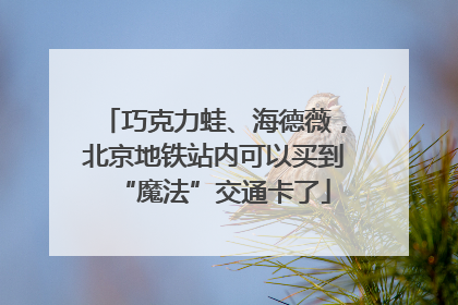 巧克力蛙、海德薇，北京地铁站内可以买到“魔法”交通卡了