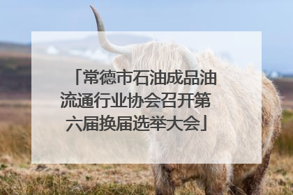 常德市石油成品油流通行业协会召开第六届换届选举大会