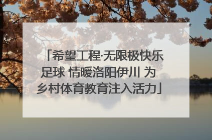 希望工程·无限极快乐足球 情暖洛阳伊川 为乡村体育教育注入活力