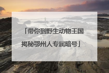 带你到野生动物王国揭秘鄂州人专属暗号