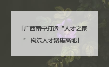 广西南宁打造“人才之家” 构筑人才聚集高地