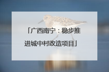 广西南宁：稳步推进城中村改造项目