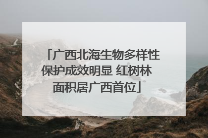 广西北海生物多样性保护成效明显 红树林面积居广西首位